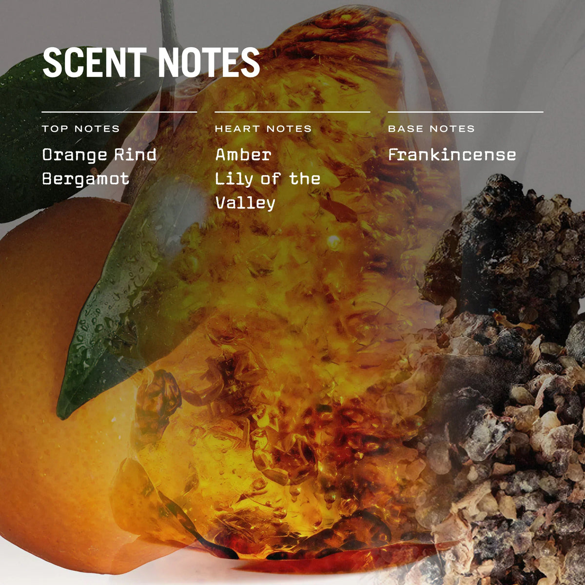 Mystice 100ml Reed Diffuser