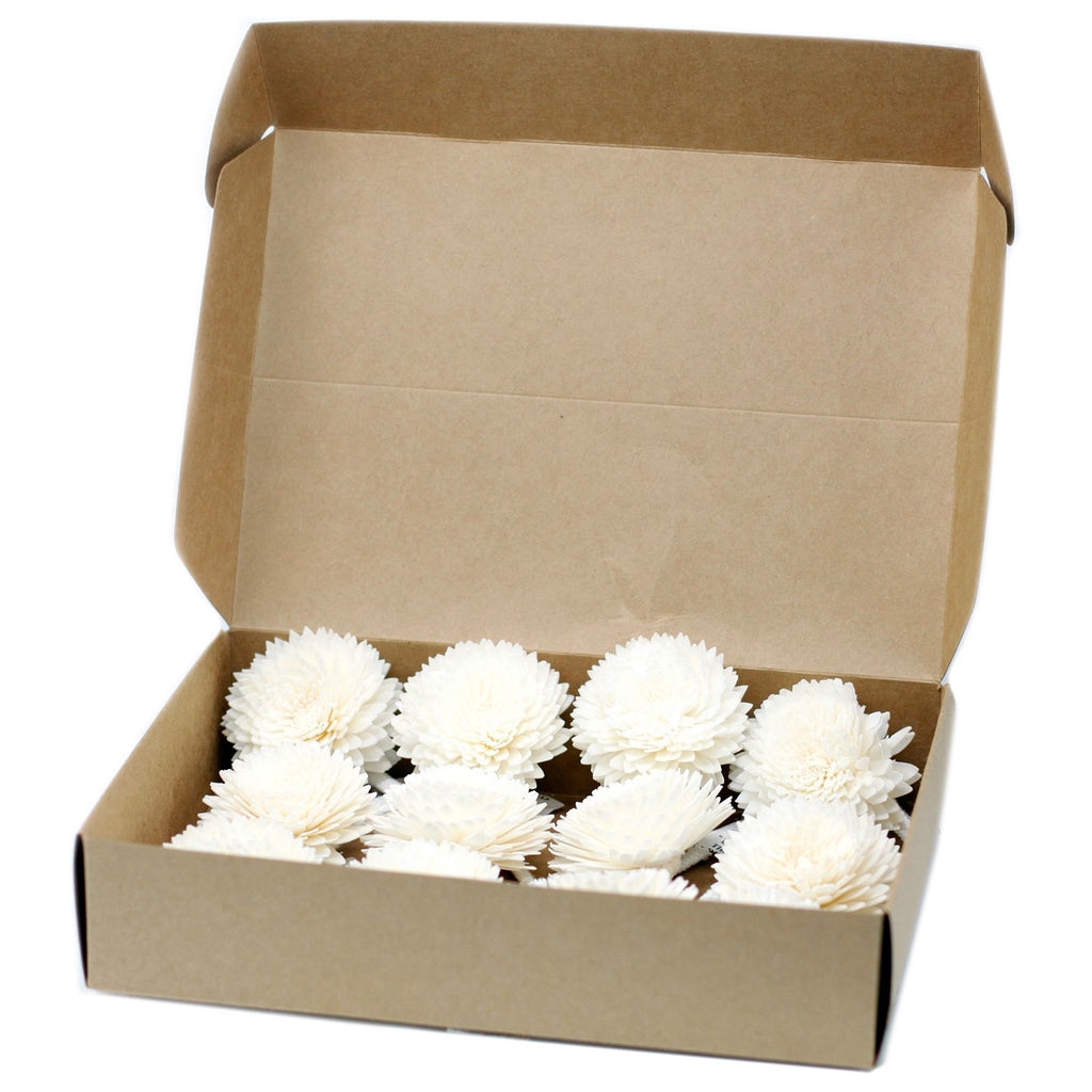 Sola Wood Diffuser Flower – Large Carnation