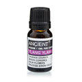 Ylang Ylang III Essential Oil – 10ml