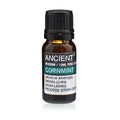 Cornmint Essential Oil – 10ml